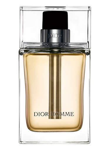 dior homme 2005 spring|dior homme vintage.